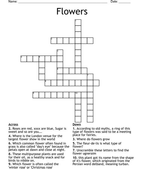 border crossword|More.